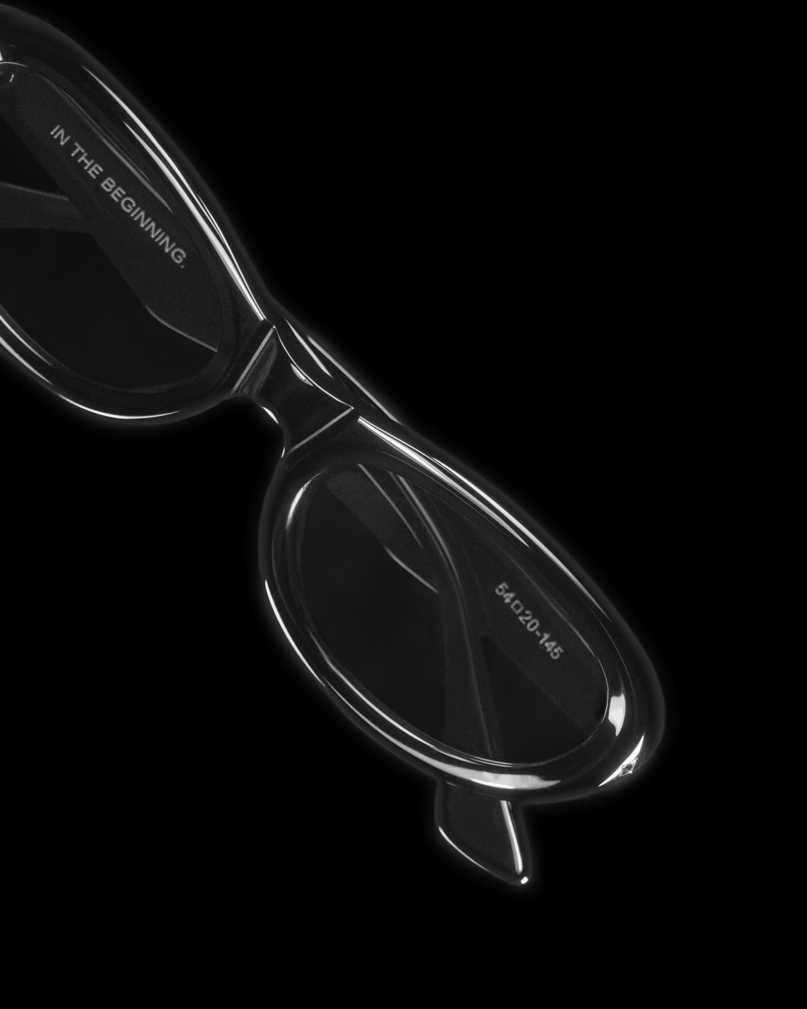 BR02-BK｜SUNGLASSES SERIES