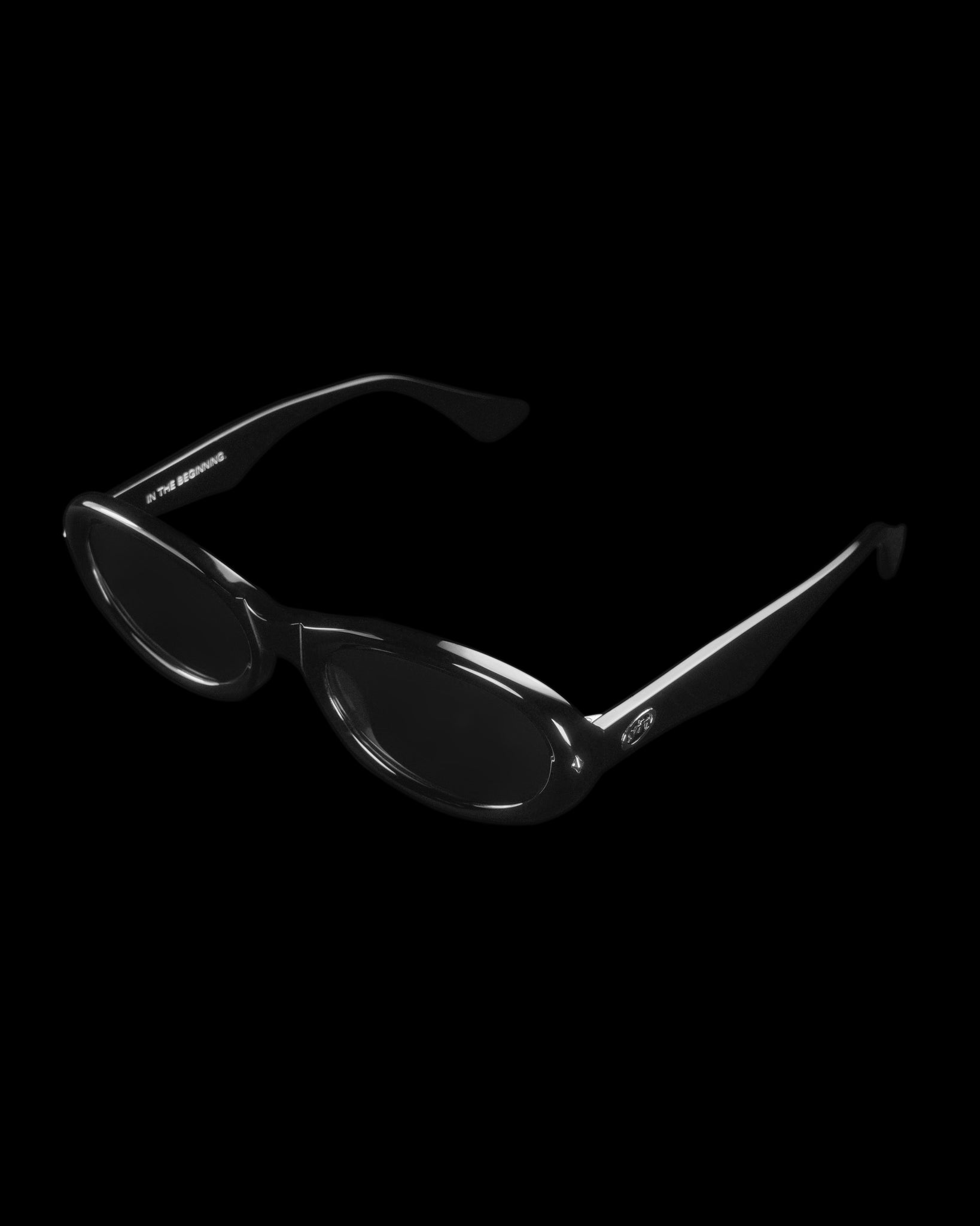 BR02-BK｜SUNGLASSES SERIES